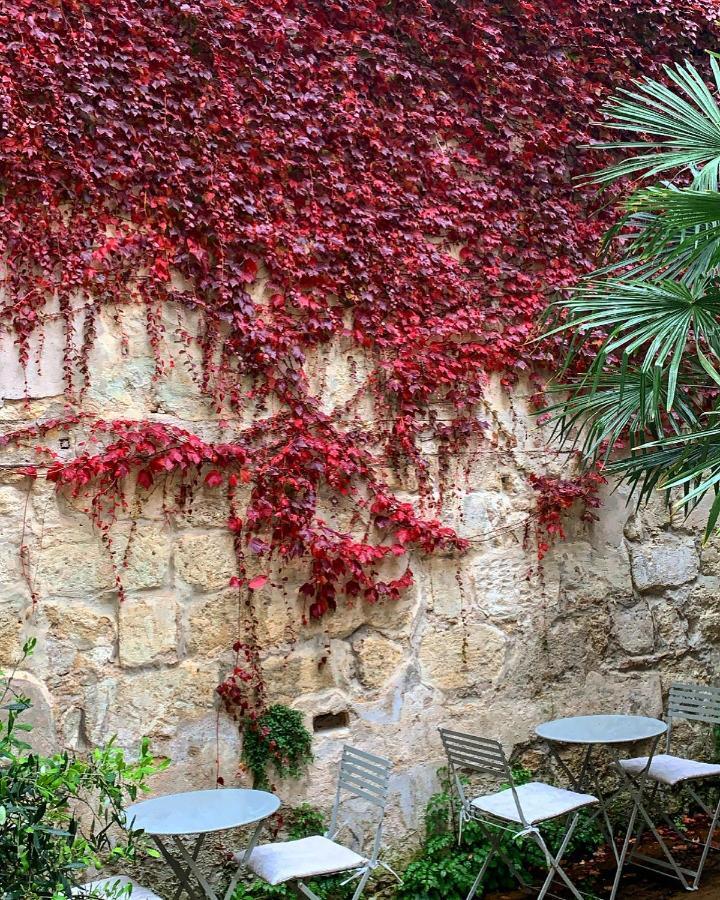 B&B La Maison Galiene Bordeaux Bagian luar foto